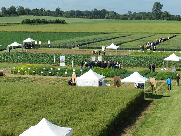Groupe Carré 2013 Groupe Carré 2013
