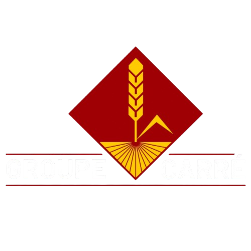 GROUPE__1_-removebg-preview