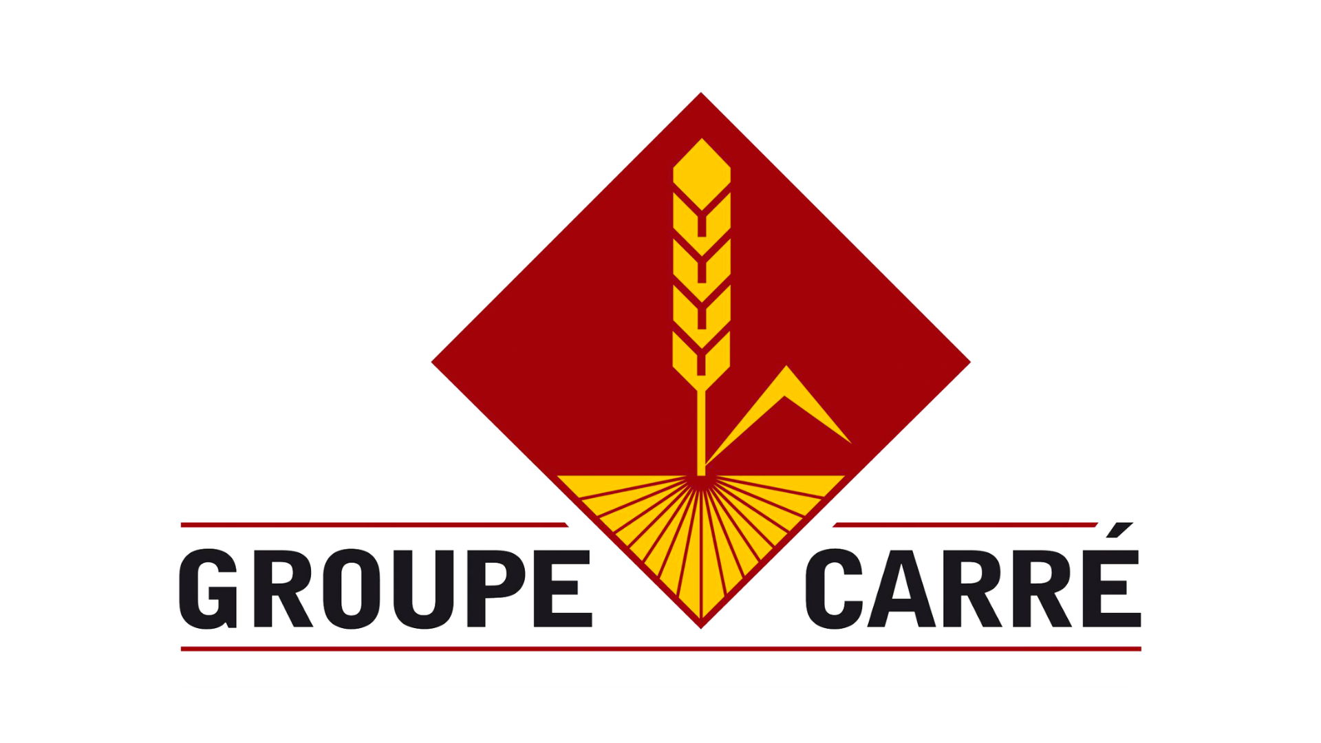 Logo Groupe Carre