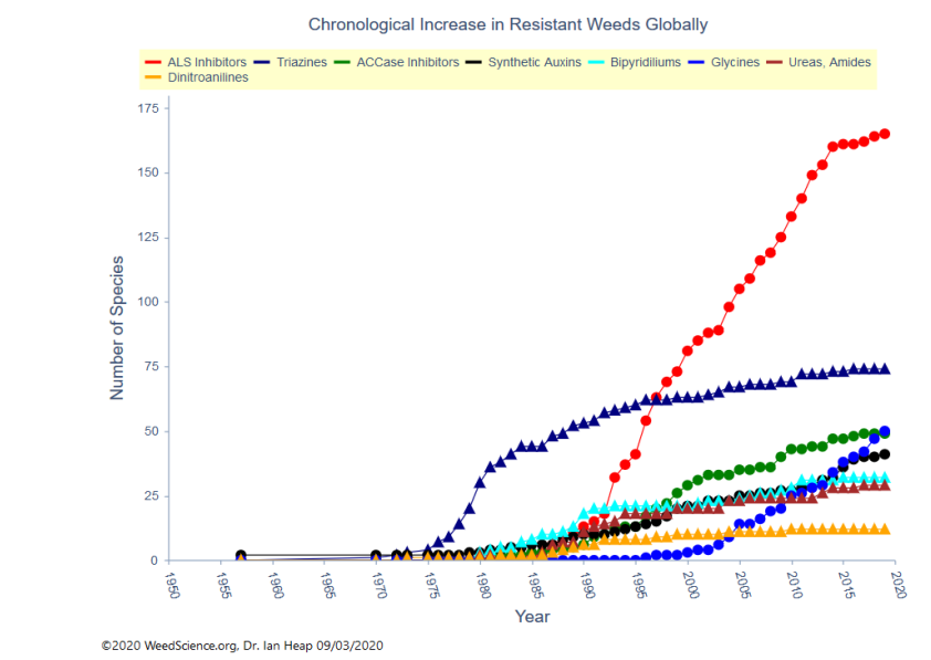 Capture-decran-2025-08-12-11220_5_2