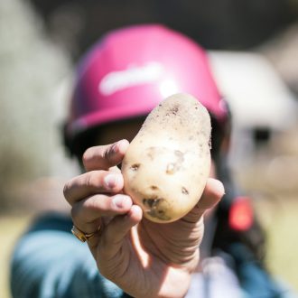 akshat-jhingran-8czGoEPqAUQ-unsplash-scaled_2